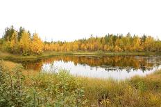 Lake in Autumn-srugina-Photographic Print