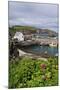 St Abbs Harbour (St Abbs and Eyemouth Voluntary Marine Reserve), Berwickshire, Scotland, August-Linda Pitkin-Mounted Photographic Print