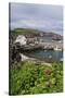 St Abbs Harbour (St Abbs and Eyemouth Voluntary Marine Reserve), Berwickshire, Scotland, August-Linda Pitkin-Stretched Canvas