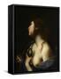 St. Agatha, C.1635-45 (Oil & Tempera on Canvas)-Francesco Furini-Framed Stretched Canvas