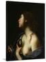 St. Agatha, C.1635-45 (Oil & Tempera on Canvas)-Francesco Furini-Stretched Canvas