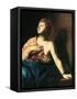 St. Agatha in Prison-Massimo Stanzione-Framed Stretched Canvas