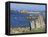 St. Agnes, Isles of Scilly, United Kingdom-Adam Woolfitt-Framed Stretched Canvas