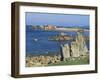 St. Agnes, Isles of Scilly, United Kingdom-Adam Woolfitt-Framed Photographic Print