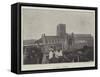 St Albans Cathedral-null-Framed Stretched Canvas