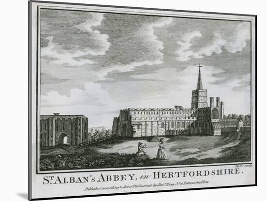 St Albans, Hertfordshire-null-Mounted Art Print