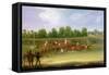 St Albans Tally-Ho Stakes, May 22nd 1834-James Pollard-Framed Stretched Canvas