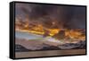 St. Andres Bay on South Georgia Island during sunset, huge colony of King Penguins-Martin Zwick-Framed Stretched Canvas