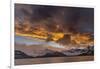 St. Andres Bay on South Georgia Island during sunset, huge colony of King Penguins-Martin Zwick-Framed Photographic Print