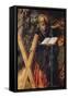 St Andrew, Detail from the Triptych of the Virgin of the Rose with Saints Andrew and Christopher-Fernando Gallego-Framed Stretched Canvas