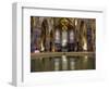 St. Andrew's Cathedral, Glasgow, Scotland, United Kingdom, Europe-Jim Nix-Framed Photographic Print