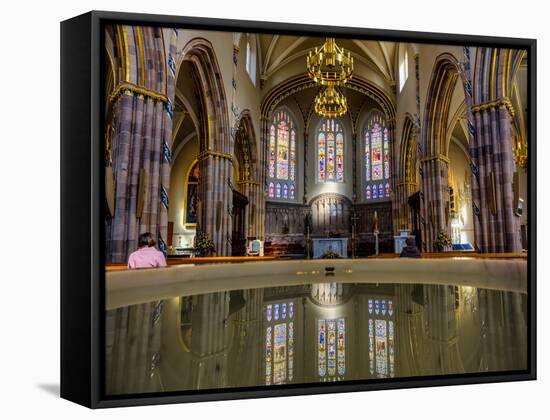 St. Andrew's Cathedral, Glasgow, Scotland, United Kingdom, Europe-Jim Nix-Framed Stretched Canvas