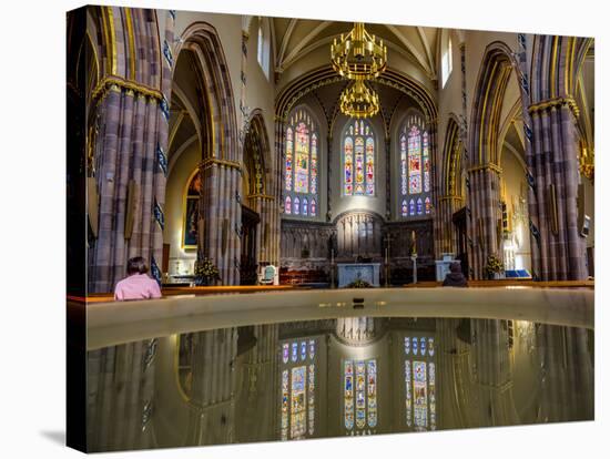 St. Andrew's Cathedral, Glasgow, Scotland, United Kingdom, Europe-Jim Nix-Stretched Canvas