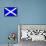 St Andrew's Flag-Peter Etchells-Framed Stretched Canvas displayed on a wall