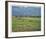 St. Andrews 16th - Corner Of The Dyke-Peter Munro-Framed Limited Edition