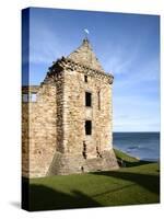 St Andrews Castle, St Andrews, Fife, Scotland-Mark Sunderland-Stretched Canvas