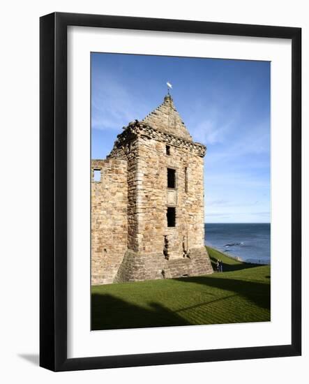 St Andrews Castle, St Andrews, Fife, Scotland-Mark Sunderland-Framed Photographic Print