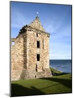 St Andrews Castle, St Andrews, Fife, Scotland-Mark Sunderland-Mounted Photographic Print