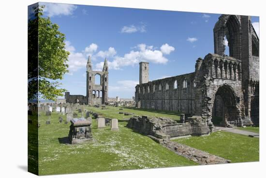 St Andrews Cathedral and St Rules Tower, Fife, Scotland, 2009-Peter Thompson-Stretched Canvas