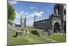 St Andrews Cathedral and St Rules Tower, Fife, Scotland, 2009-Peter Thompson-Mounted Photographic Print