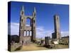 St. Andrews Cathedral Dating from the 14th Century, St. Andrews, Fife, Scotland, UK-Patrick Dieudonne-Stretched Canvas