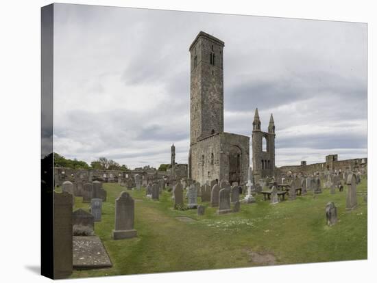 St. Andrews Cathedral Ruins, St. Andrews, Fife, Scotland, United Kingdom-Nick Servian-Stretched Canvas