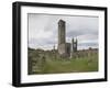 St. Andrews Cathedral Ruins, St. Andrews, Fife, Scotland, United Kingdom-Nick Servian-Framed Photographic Print