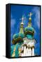 St. Andrews Church in Kiev (Kyiv), Ukraine, Europe-Michael-Framed Stretched Canvas