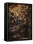 St. Anthony in Adoration of the Child-Antonio Arrigoni-Framed Stretched Canvas