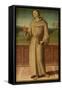 St. Anthony of Padua-Pietro Perugino-Framed Stretched Canvas