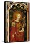 St. Apollonia, Holding a Pair of Pincers and a Tooth, Detail of the Rood Screen, St. Michael's…-null-Framed Stretched Canvas