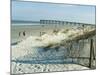 St. Augustine Beach, Florida, USA-Ethel Davies-Mounted Photographic Print