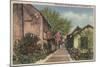 St. Augustine, FL - Aviles St. in Old Spanish Quarter-Lantern Press-Mounted Art Print