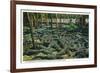 St. Augustine, Florida - Alligator-Ostrich Farm Scene-Lantern Press-Framed Premium Giclee Print