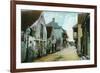 St. Augustine, Florida - Charlotte Street Scene-Lantern Press-Framed Art Print