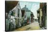 St. Augustine, Florida - Charlotte Street Scene-Lantern Press-Stretched Canvas