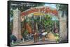 St. Augustine, Florida - Fountain of Youth Entrance Scene-Lantern Press-Framed Stretched Canvas