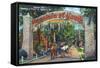 St. Augustine, Florida - Fountain of Youth Entrance Scene-Lantern Press-Framed Stretched Canvas
