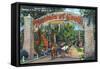 St. Augustine, Florida - Fountain of Youth Entrance Scene-Lantern Press-Framed Stretched Canvas