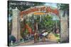 St. Augustine, Florida - Fountain of Youth Entrance Scene-Lantern Press-Stretched Canvas