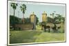 St. Augustine, Florida - Old City Gates View-Lantern Press-Mounted Art Print