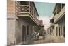 St. Augustine, Florida - View of Charlotte St.-Lantern Press-Mounted Premium Giclee Print