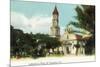 St. Augustine, Florida - View of the Cathedral from the Plaza-Lantern Press-Mounted Art Print