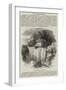St Austell's Well-null-Framed Giclee Print