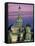 St. Basil's Cathedral, Red Square, Moscow, Russia-Peter Adams-Framed Stretched Canvas