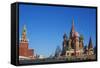 St. Basil's Cathedral, Red Square, UNESCO World Heritage Site, Moscow, Russia, Europe-Bruno Morandi-Framed Stretched Canvas