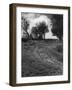 St. Benet's Abbey-null-Framed Photographic Print