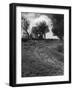 St. Benet's Abbey-null-Framed Photographic Print