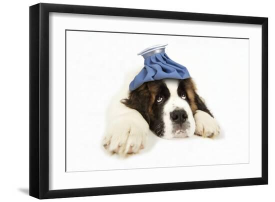 Photographic Print, , large