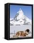 St. Bernard Dog and Matterhorn From Atop Gornergrat, Switzerland, Europe-Michael DeFreitas-Framed Stretched Canvas